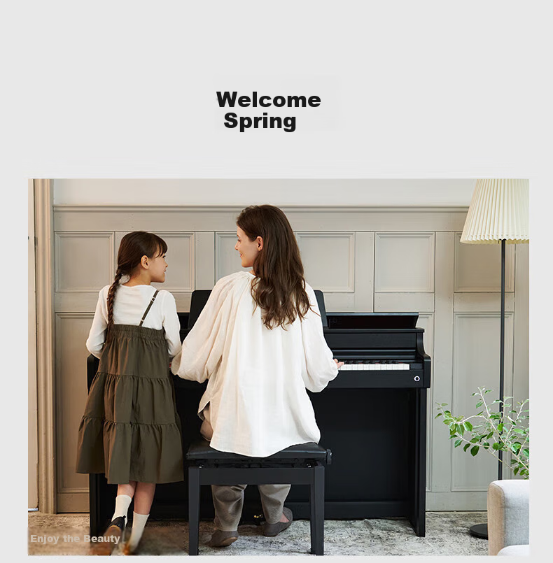 Casio Digital Piano AP300, Black Intelligent 88-Key Weighted Hammer Professional Upright Digital Piano Set 17
