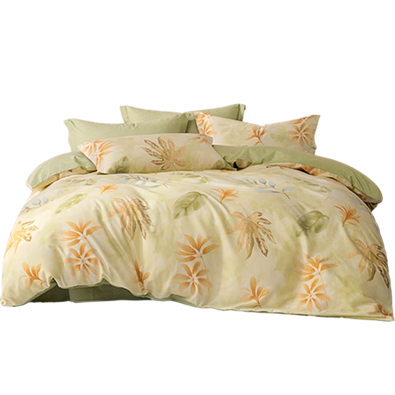 Bailisi Shuixing Jiafang Brand Pure Cotton Duvet Cover, Single Piece, 40-Count Pure Cotton, Bedding for Family Double Bed