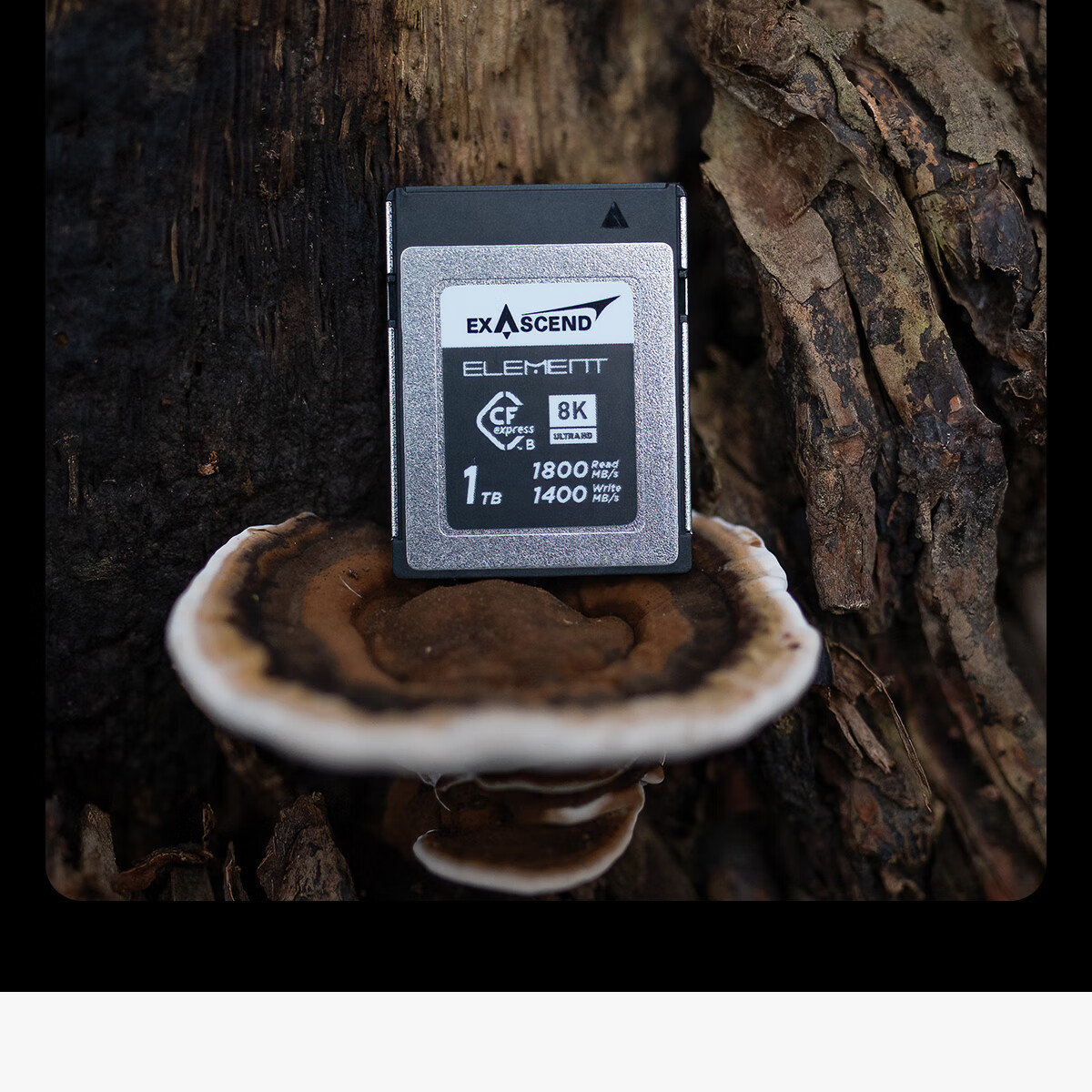 Zhiyukeji 1TB CFexpress Type B Memory Card, High-Speed Mirrorless Camera CFexpress Card, Compatible with Fuji, Canon, Niko 14