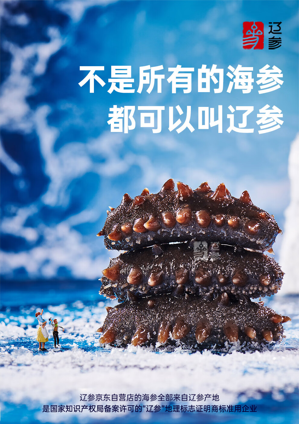 辽参 大连海参1000g固形物80%以上26-34只 海参礼盒 生鲜 非即食