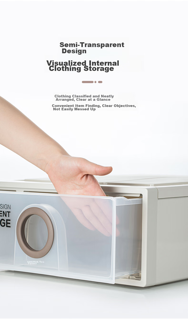 CHAHUA Storage Box, Large Organizer Box for Underwear, Drawer-Style Single-Layer Storage Cabinet, Set of Two 10