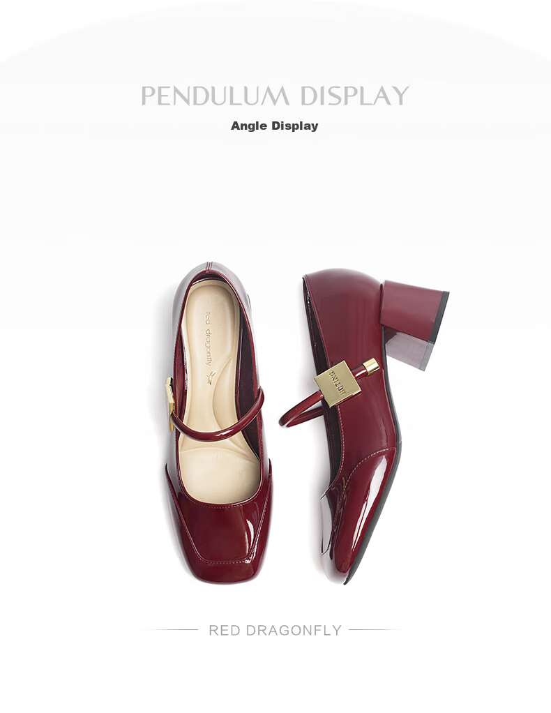 RED DRAGONFLY Mary Jane Shoes, Elegant French-Style Leather Shoes for Spring And Autumn, Chunky Heel Women's Pumps, WTB24677, Black, Size 39 4
