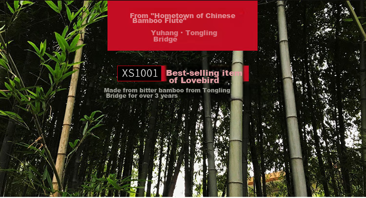 Xiangsiniao Single-Insert Brass Flute, E Key Flute, Bitter Bamboo Flute, Transverse Flute, Student Flute for Beginners, XS1001 2