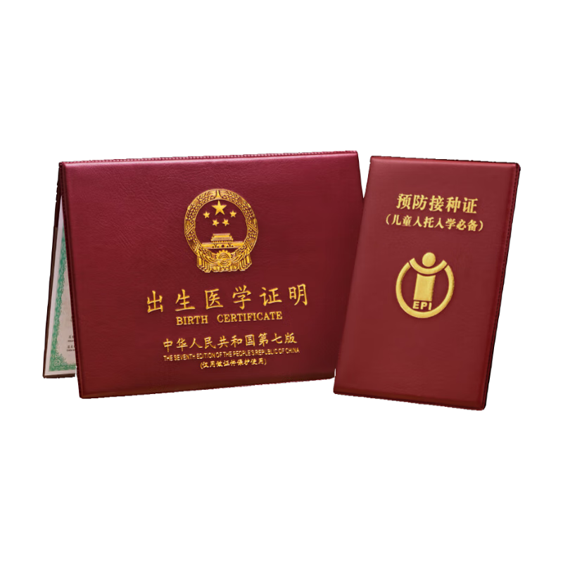 JONEVEE Birth Certificate And Vaccination Record Protector (Set of 2), Classic Double Insert Pages, Jujube Red, Baby Medical Document Cover, ZWCS04