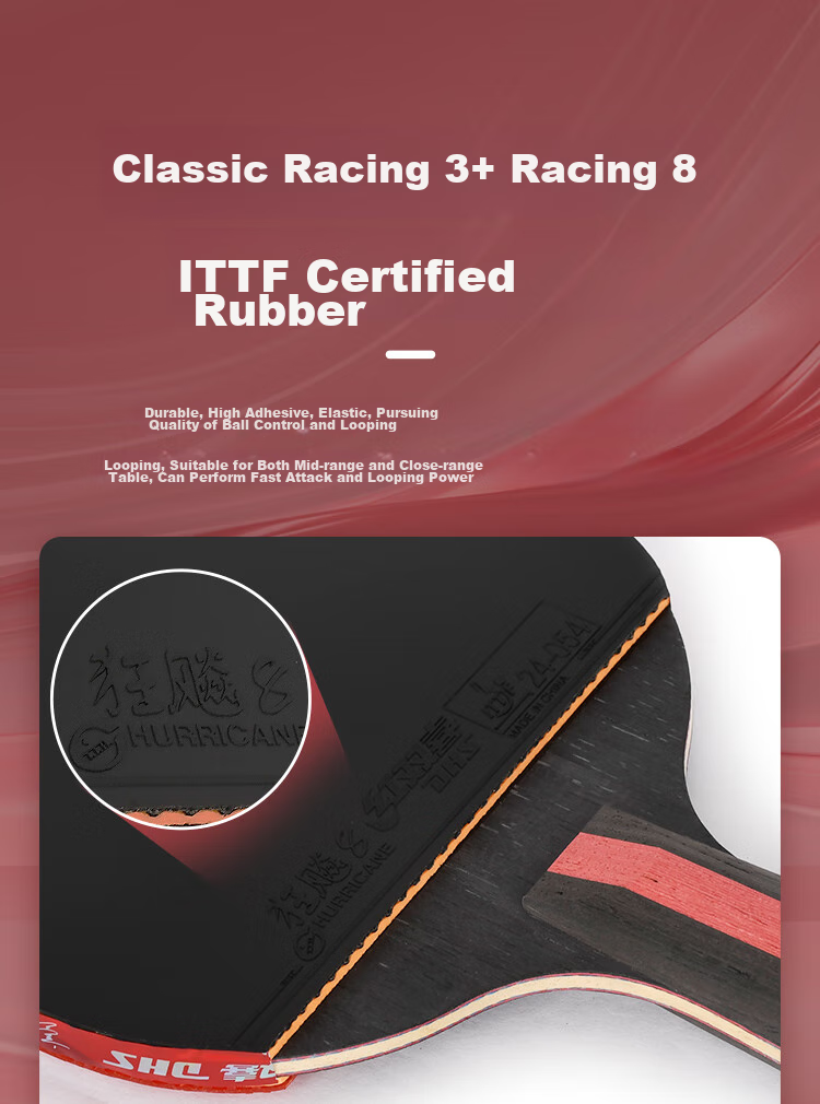 DHS (Table Tennis) Eight-Star Straight Handle, Jingcang Fast Delivery + Racket Cover, Table Tennis Racket H8006 Straight Handle Single Racket 5