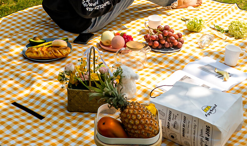 Deli Picnic Mat, Outdoor Thickened Moisture-Proof Mat, Oxford Cloth Portable Tent Mat, Beach Mat, Medium Size, Gree 8