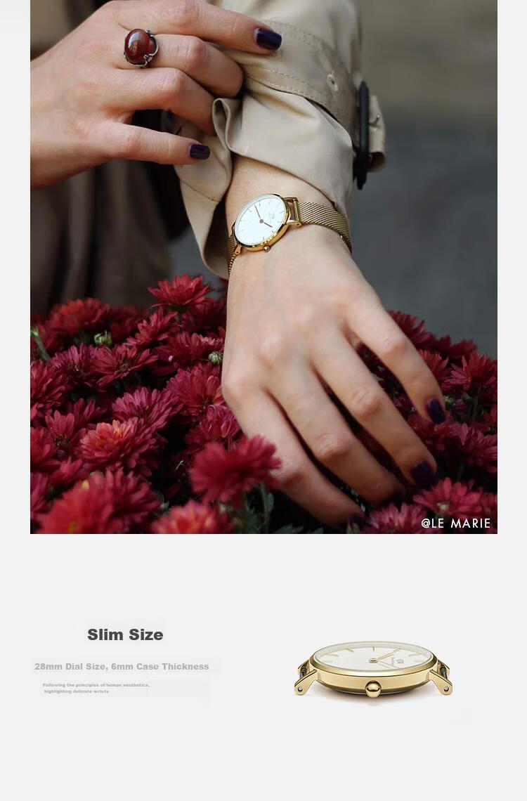 DanielWellington DW Ladies Watch, Light Luxury Gold-Plated Simple Quartz Wristwatch for Women, Birthday Gift for Girlfriend, DW350 3