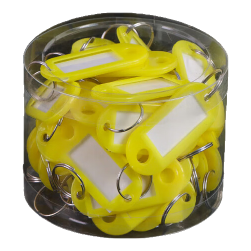TaTanice Detachable Key Tags Storage with Marking, Intermediate Key Classification, Rental House Office Home Management Markers, 50 Key Tags in Jar, Yellow