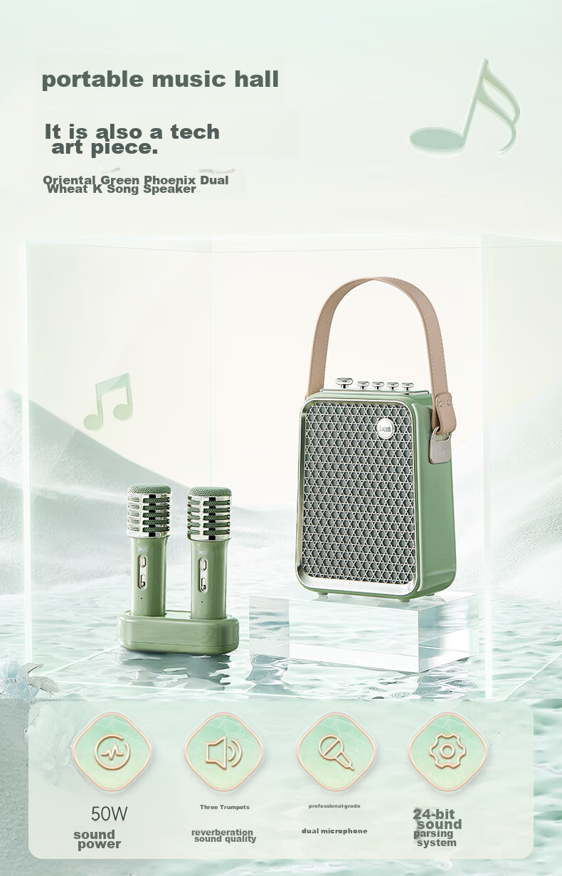 Divoom Bluetooth Karaoke Speaker with Microphone, Portable Outdoor Wireless Singing Mic for Home KTV, All-In Speaker System, Housewarming Gift for Girls And Teachers' Day Present 4