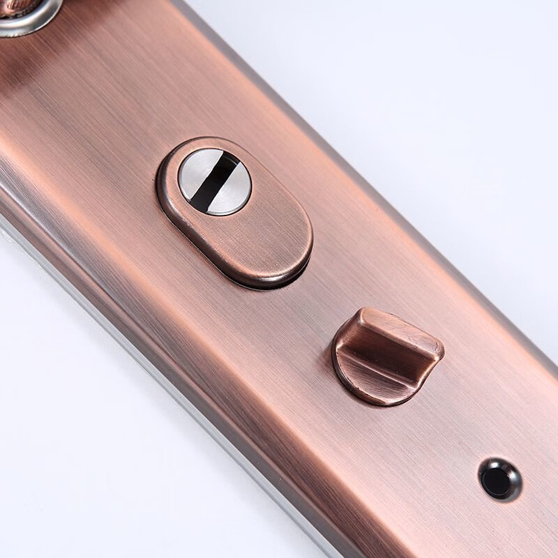 Chugong Door Handle Anti-theft Door Lock Pull Handle Pry-resistant Entry Door Lock Handle Red Bronze (Excluding Lock Body and Cylinder) 5