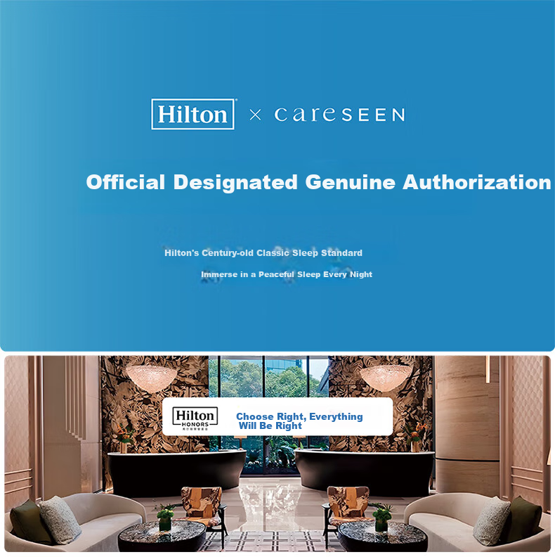 Canasin Hilton Hotel down Pillow, 95% Hungarian White Goose Down Pillow Core, Single Pack, 74*48cm Low Pillow 1