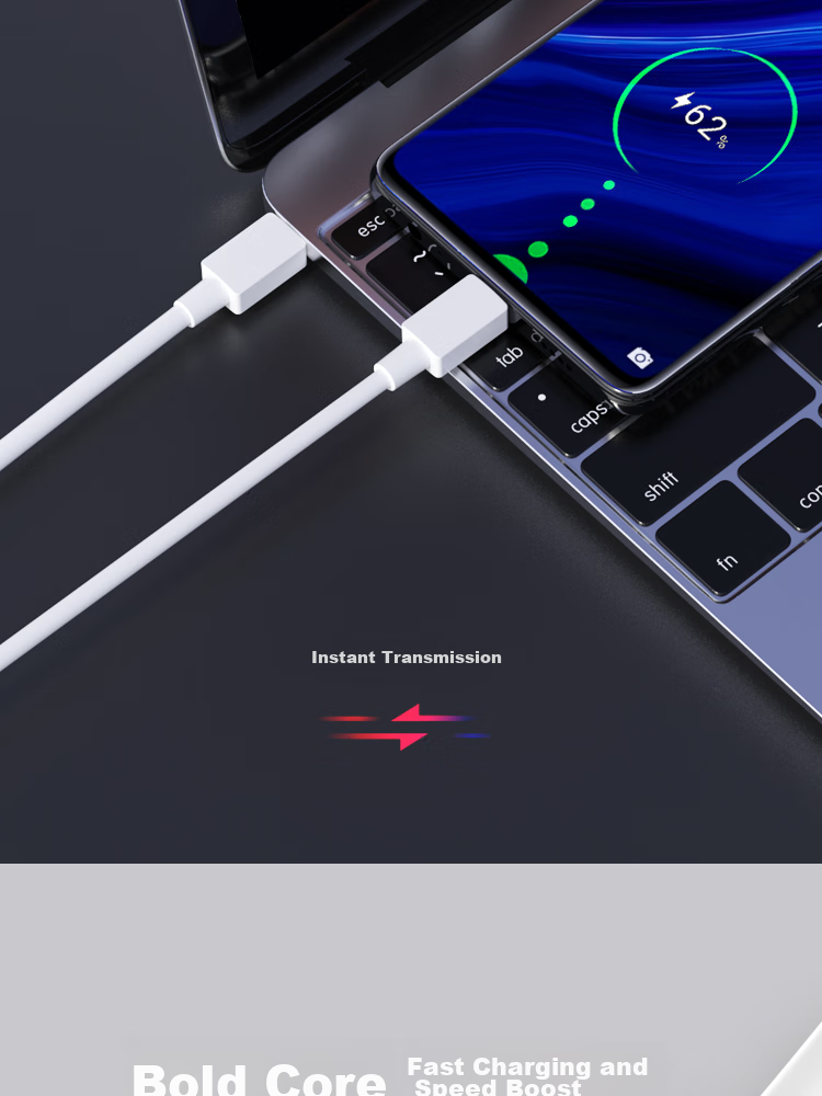 ESCASE Type-C Data Cable, Fast Charging Cord, 100W Fast Charge, PD Fast Charge, 5A, 2 Meters, E Chip, Student Party, Car Use, Business Trip, Multi-Device, CC-100 TPE Material 5