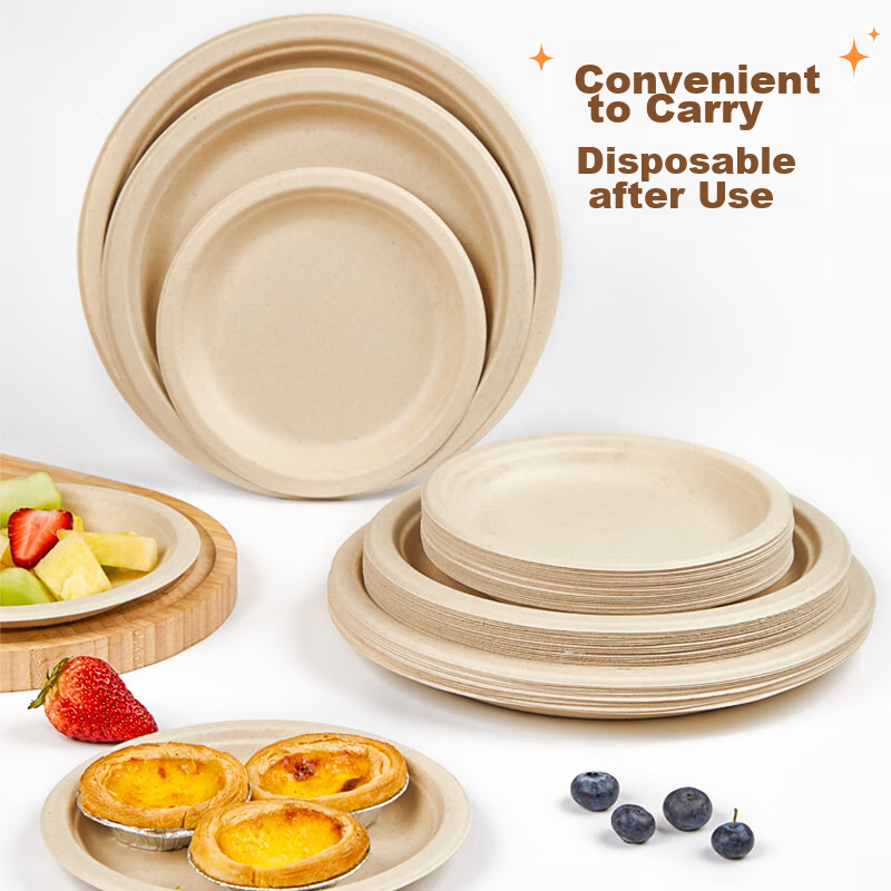SHUANG YU Sugarcane Pulp Paper Plates, Bowls, Disposable Tableware, Waterproof And Oil-Resistant, Natural Color, Biodegradable Round Plates, 10 Inches, Pack of 20