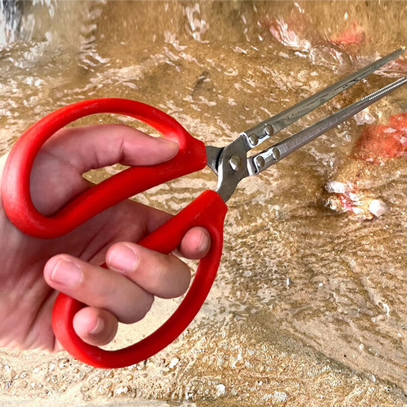 Lewang Crab Pliers, Stainless Steel Fishing Tool, Tea Brewing Tool with Charcoal Clamp, Length 38cm, Curved Mouth