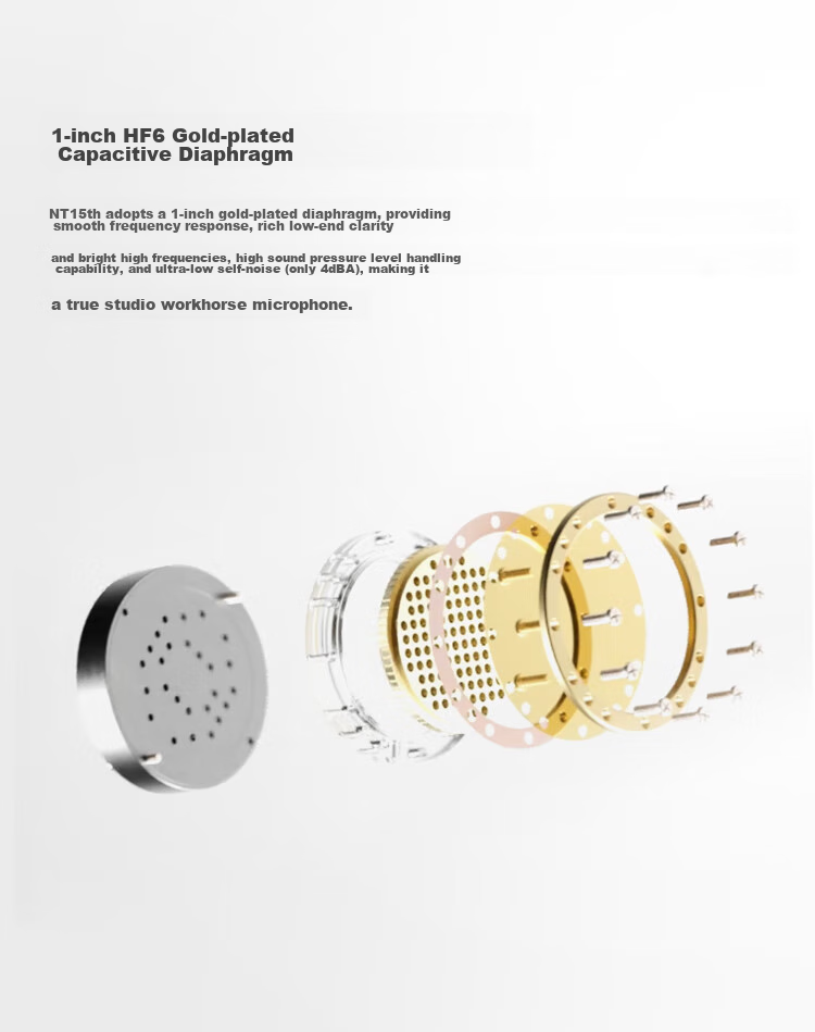 RODE NT1 5th Generation Large Diaphragm Studio Condenser Microphone USB Direct Connection Black (Official Standard) 4