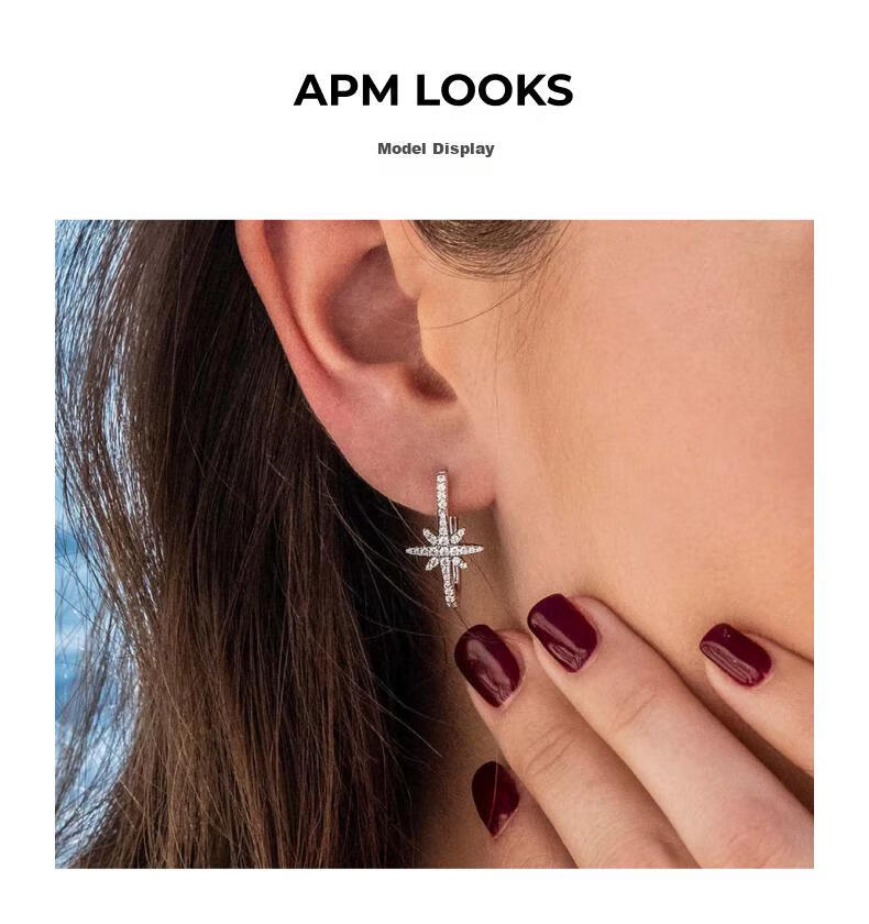 APM Monaco Meteorite Rectangular Hexagram Earrings, Luxurious And Elegant Ear Jewelry, Gift for Girlfriend Or Wife 5