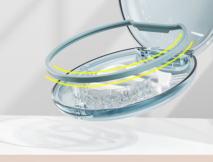 Daisy Leaf Orthodontic Case, Retainer Storage Box, Portable Orthodontic Appliance Case for Braces And Invisible Aligners 9