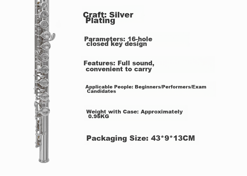 Jinbao Flute Instrument JBFL-6248S Closed Hole 16-Hole C Key for Adults, Students, School Bands, Universal Western Flute 5