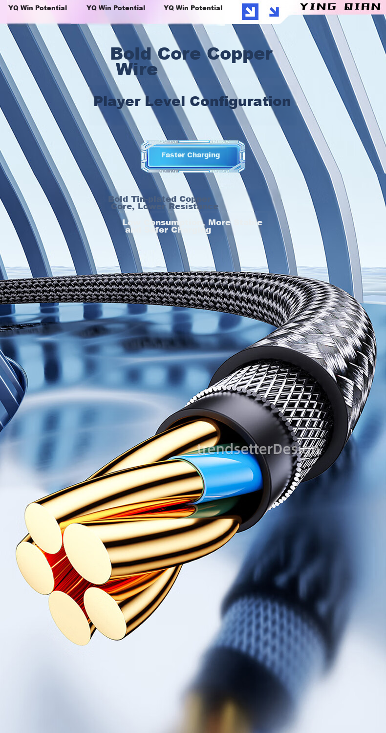 Yingqian Compatible with ASUS ROG Data Cable, Dual Type-C Charging Cable, 65W PD Fast Charging, for ROG9/8/7/6/5/5s, Samsung S24/S23/S22/S21/S20 Phone Charger Cable 8