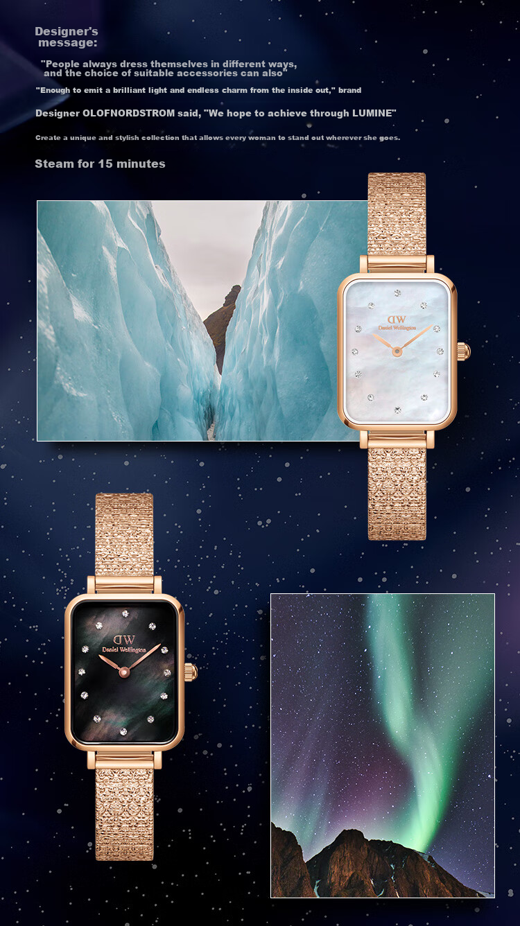 DanielWellington DW Ladies' Watch, Starry Sky Natural Mother-Of Dial, Quartz Steel Strap, Western-Style Wristwatch, Birthday Gift for Girlfriend, DW613 3