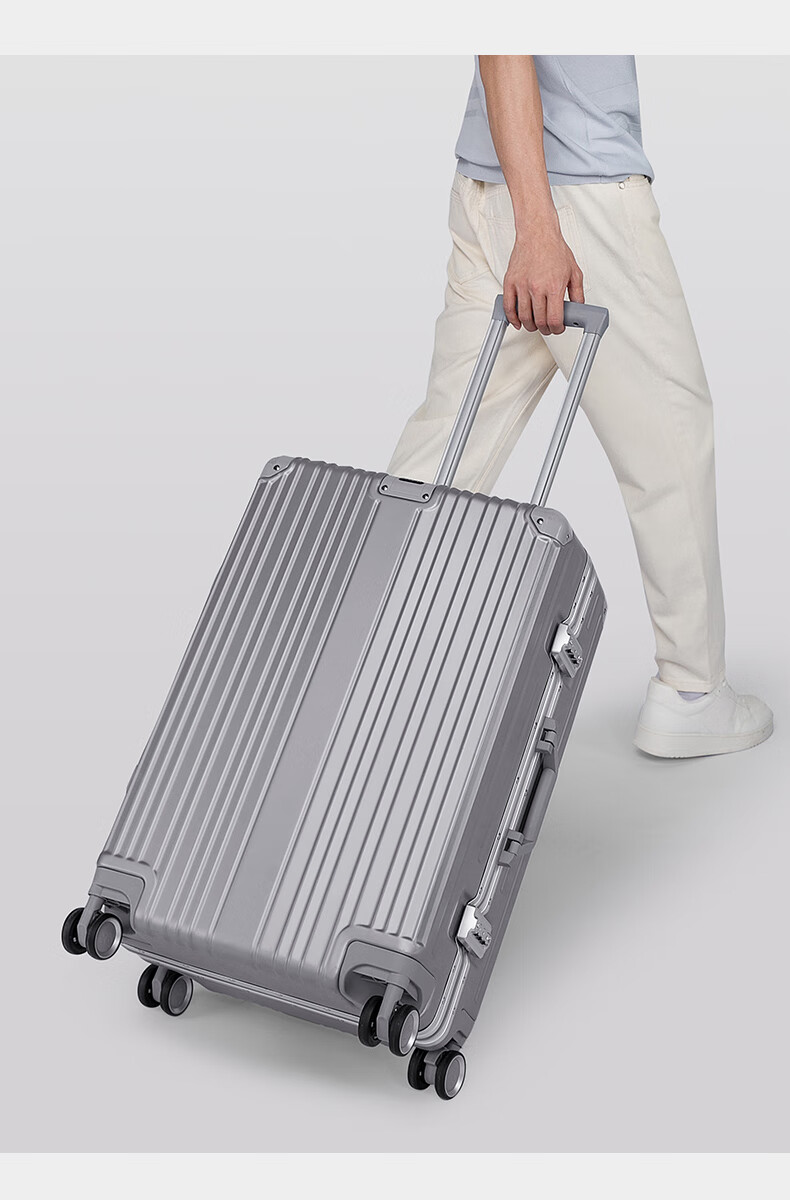 MEXICAN Aluminum Frame Suitcase, Unisex 24-Inch Trolley Case with Password Lock, Travel Luggage for Business Trips, Leather Suitcase, Check-In Luggage, Silver Color 11