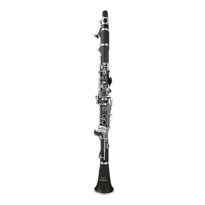 Bullfighter Bb 17-Key Beginner's Black Key Melodica, Suitable for Exams And General Use