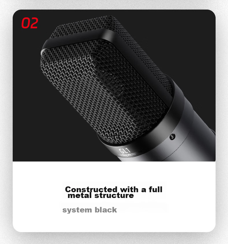 TAKSTAR GL1 Condenser Microphone, Computer Recording And Mobile Phone Live Streaming Sound Card Equipment Set 10
