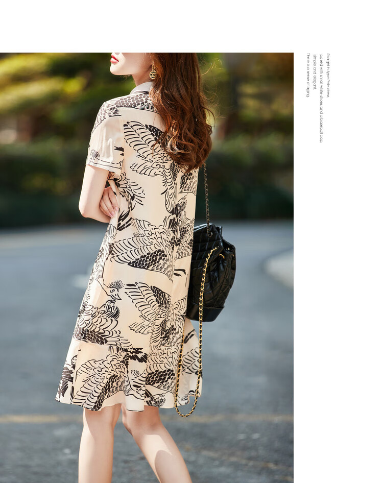 DME Printed Dress Women Tie Casual Vintage Elegant Simple Chiffon Dress 6