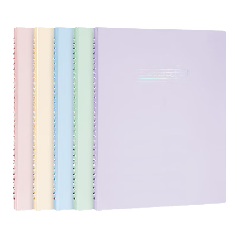 Deli A4 15 Sheets 30 Pages Professional Music Folder for Writing Piano Scores, Sheet Music Accessories, Non-Reflective Morandi Color Series 72585 Random Color