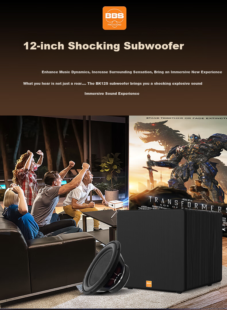 BBS [Annual Bestseller] BK10 Home KTV Sound System Set, Professional Theater Speakers Three-Way Karaoke Singing Complete Equipment for Home Use 7