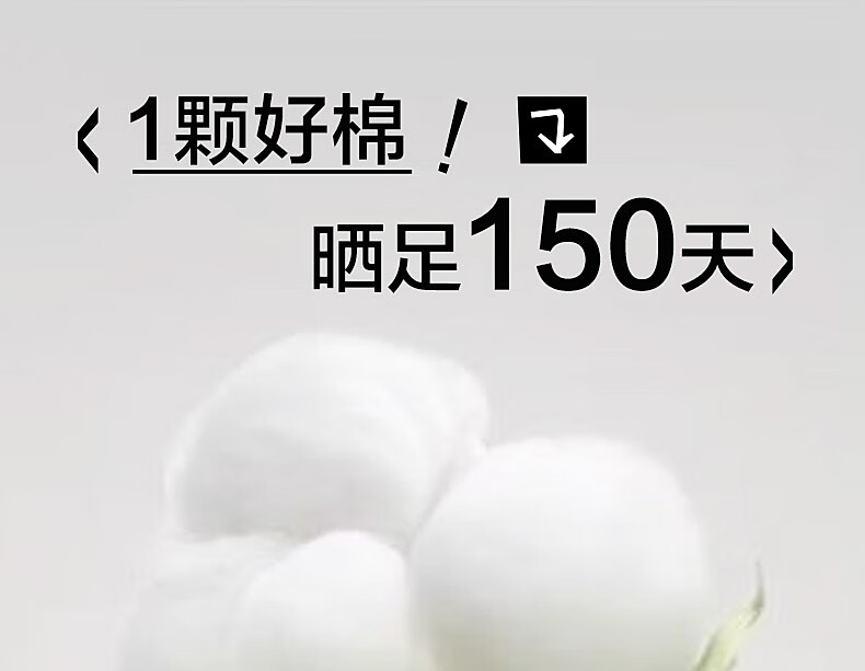 Shuixingjiafang Xinjiang Cotton Quilt, Student Dormitory Pure Cotton Bedding, Spring And Autumn Comforter, Single Bedding Core, Approximately 3.4 Ji 1