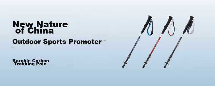 Pelliot [Light Wing] Carbon Fiber Folding Trekking Pole, Outdoor Telescopic Walking Stick, 165036017, Storm Blue 1
