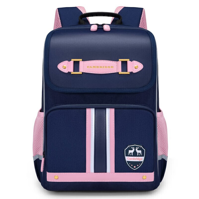 Dijiuchengbao Vnine City Schoolbag for Primary School Students Grades 1-3, Ultra-Lightweight, Reduced Burden, Children's Backpack, Girls' Spine-Protecting Double Shoulder Bag