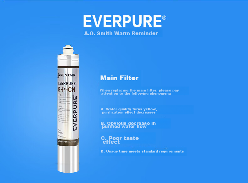 Everpure BH(2) Pre-Filter Cartridge 10