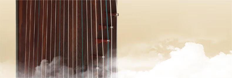Daoyun Guzheng Beginner Entry-Level Professional Exam Guzheng Traditional Musical Instrument 11