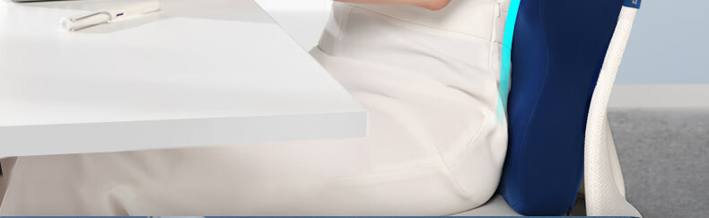 Back2 Lumbar Support Cushion for Office, Ergonomic Back Pillow, Long-Sitting Aid, Car Seat Cushion, Waist Pillow 23