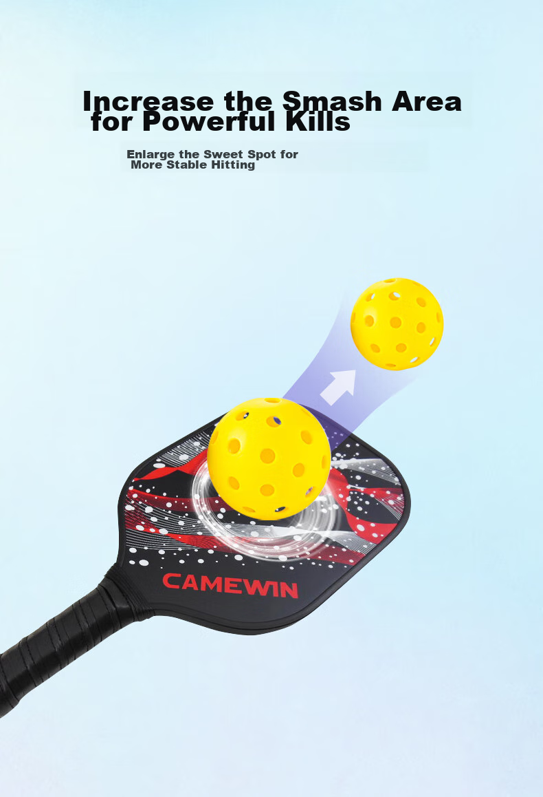 CAMEWIN Pickleball Paddle Set, Advanced Carbon Fiber Entry-Level Professional Pickleball, Cosmic Pickleball Hot Pressed Double Paddle 6