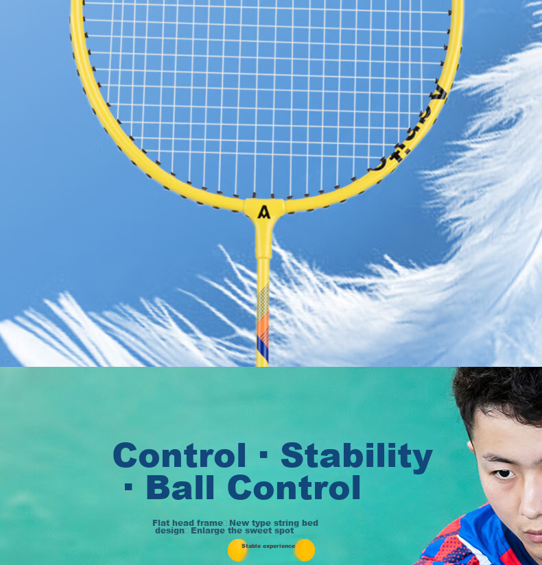 Deli Badminton Racket, Durable Basic Entertainment Wear-Resistant, Suitable for Beginners, Male And Female Players, Includes Three Shuttlecocks 10