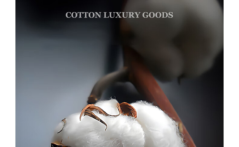 Shuixingjiafang Duvet Cover, Pure Cotton, 100 Count Xinjiang Long-Staple Cotton, Gong Satin Class A Duvet Cover, Single Bedding Set, Double Size 200x230 3