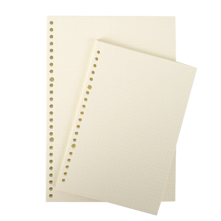 TANGO A5 Loose-Leaf Refill Paper with Grid Pattern, Study And Time Management Planner, Journal, Doodle Pad with Stamps, Universal 20-Hole Detachable Replacement Pages, 60 Sheets 2