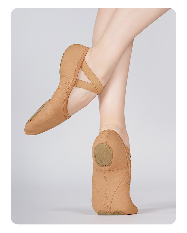 Aiwuge Professional Dance Shoes for Women, Soft-Soled Practice Shoes, Elastic Ballet Shoes, Teacher's Cat Paw Shoes, Ballet Pink, Size 35 2