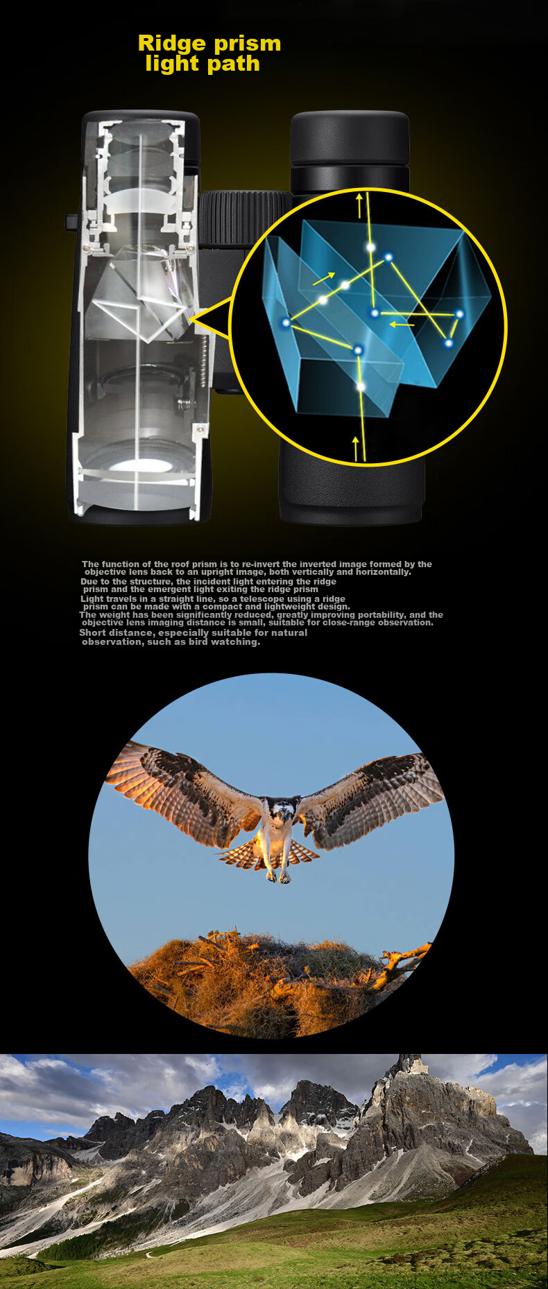 Nikon Binoculars ED Emperor MONARCH M7, 10X30, Outdoor Portable, for Phone Viewing And Concert Sightseeing 3