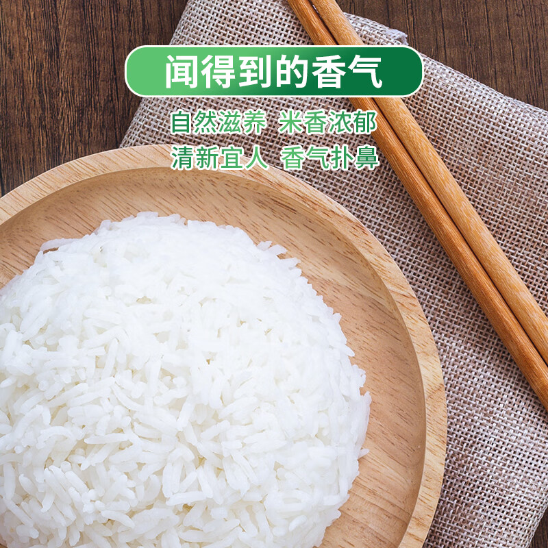 太粮 鸣象尊桂油粘米20斤 大米籼米长粒10kg 当季新米