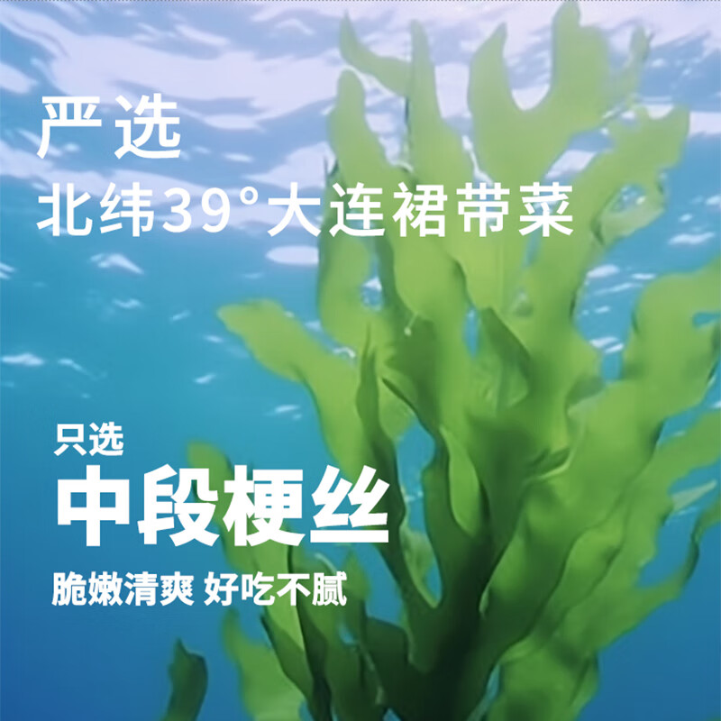 盖世调味裙带菜 净重2斤 芥末味即食海藻沙拉 海草海白菜