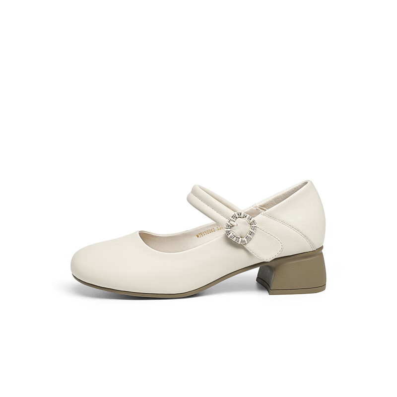 RED DRAGONFLY Shallow Women's Flats, Spring Women's Shoes, Mary Jane Thick Heel Comfortable Women's Shoes WJB15806 Beige 40