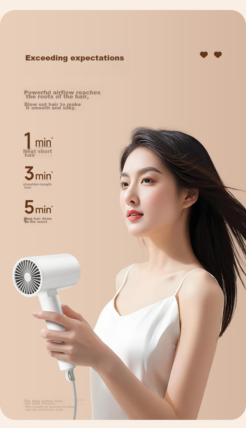 AUX Hair Dryer, High-Power Blue Light Negative Ion Hair Protection Electric Blower, 1800W Large Air Volume Quick-Drying Blow Dryer, Portable Folding Hair Dryer, Gift for Wome 3