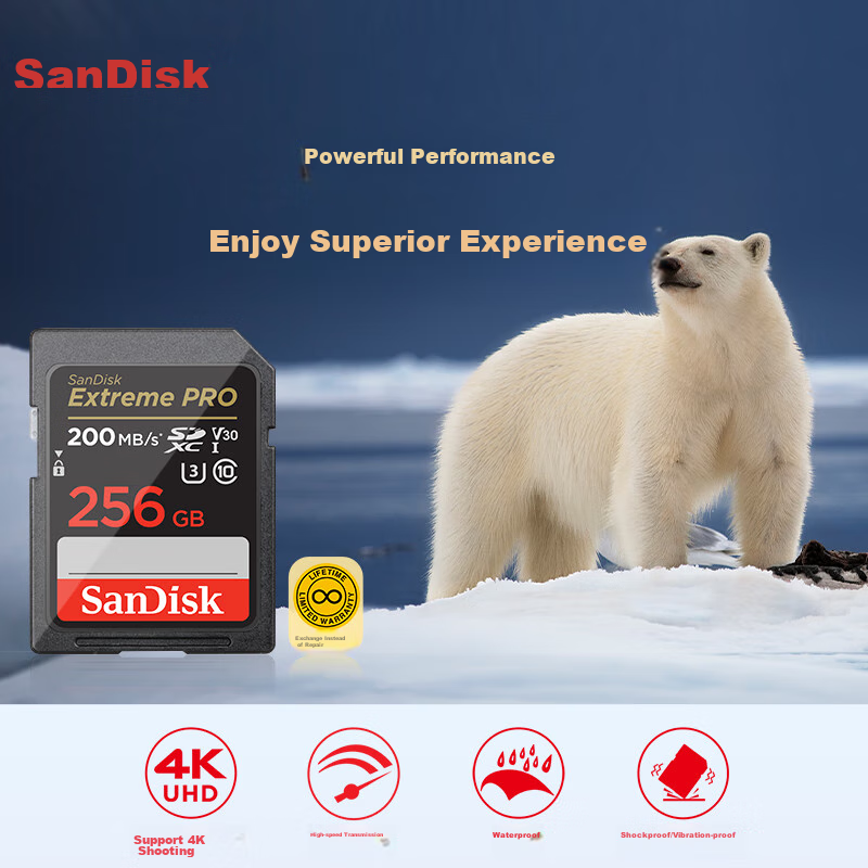 SanDisk (S-01273073