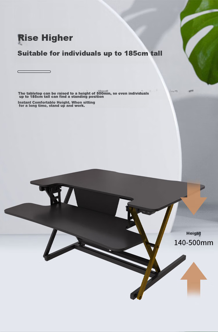 Loctek Height Adjustable Computer Desk, Standing Desk, Electric Lift Desk EM2M Elegant Black 15