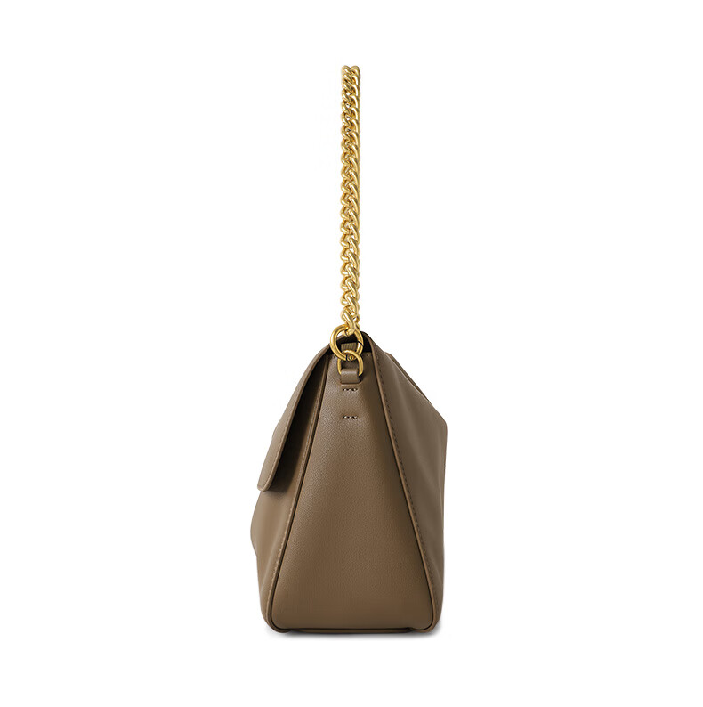 CASSILE Women's Handbag, Tote Bag, Large Capacity, Luxury Shoulder Crossbody Underarm Bag, Gift for Women on May 20th 21