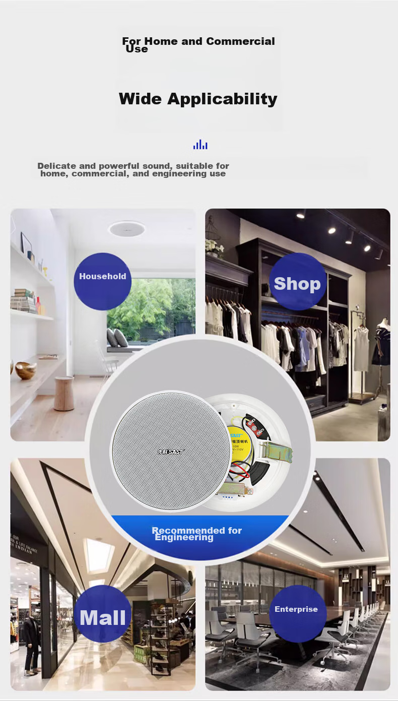 SAST 6-Inch Constant Voltage Ceiling Speaker, Recessed Ceiling Background Music System, Embedded Public Address Speaker for Shopping Malls And Stores TH1-6 10